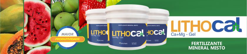 lithocal-top.jpg lithocal-top.jpg
